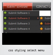 Css Styling Select Menu