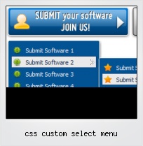 Css Custom Select Menu